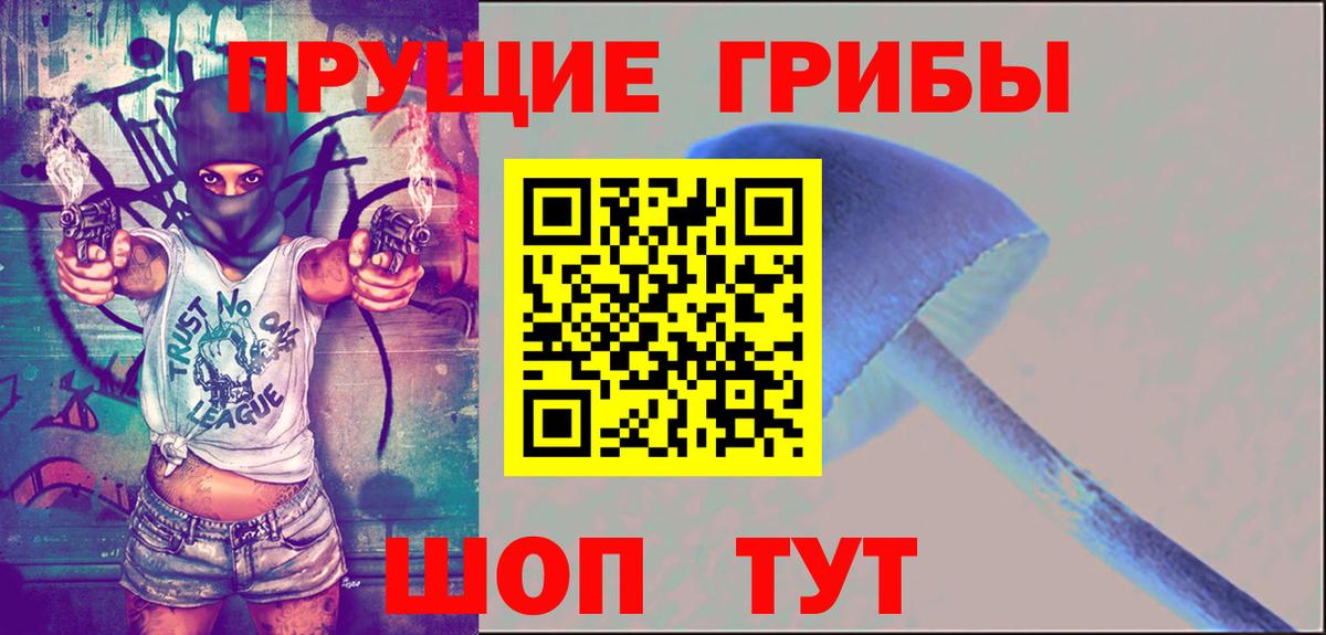 Галлюциногенные грибы GOLDEN TEACHER Бор