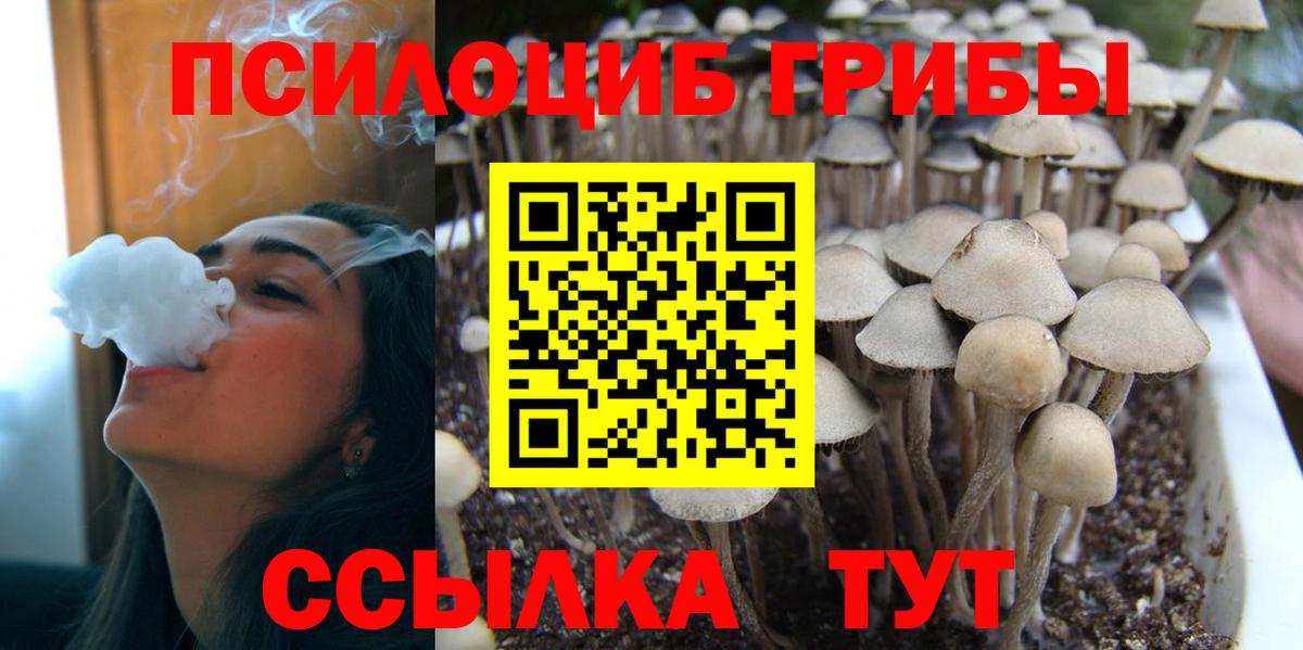 Бор  Псилоцибиновые грибы Magic Shrooms  Вход с VPN 